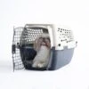 Petmate Vari Dog & Cat Kennel