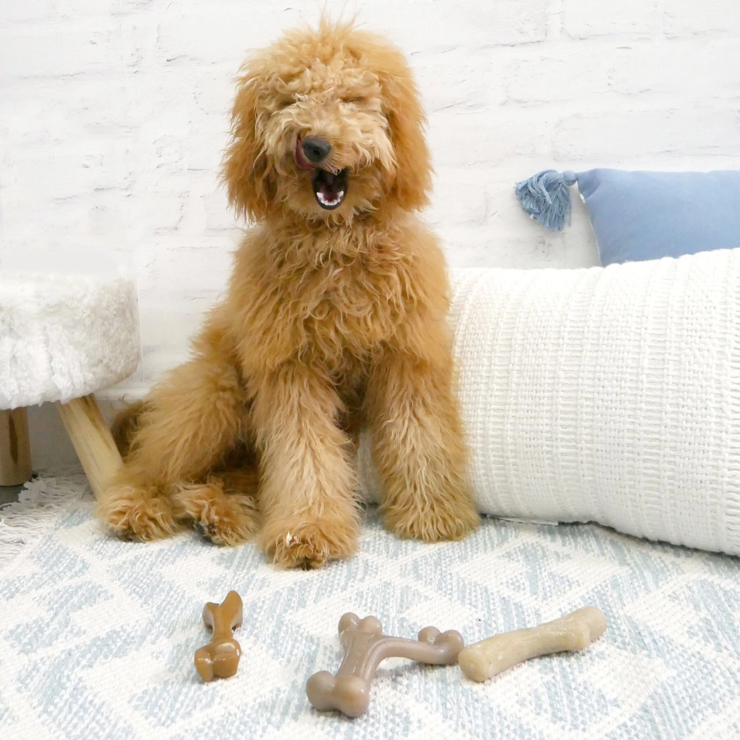 Nylabone Puppy Gourmet Style Strong Chew Dog Toys, Bacon, Chicken, Peanut Butter - Image 2