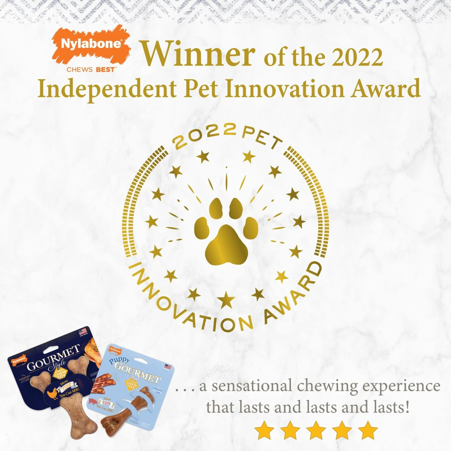 Nylabone Puppy Gourmet Style Strong Chew Dog Toys, Bacon, Chicken, Peanut Butter - Image 4