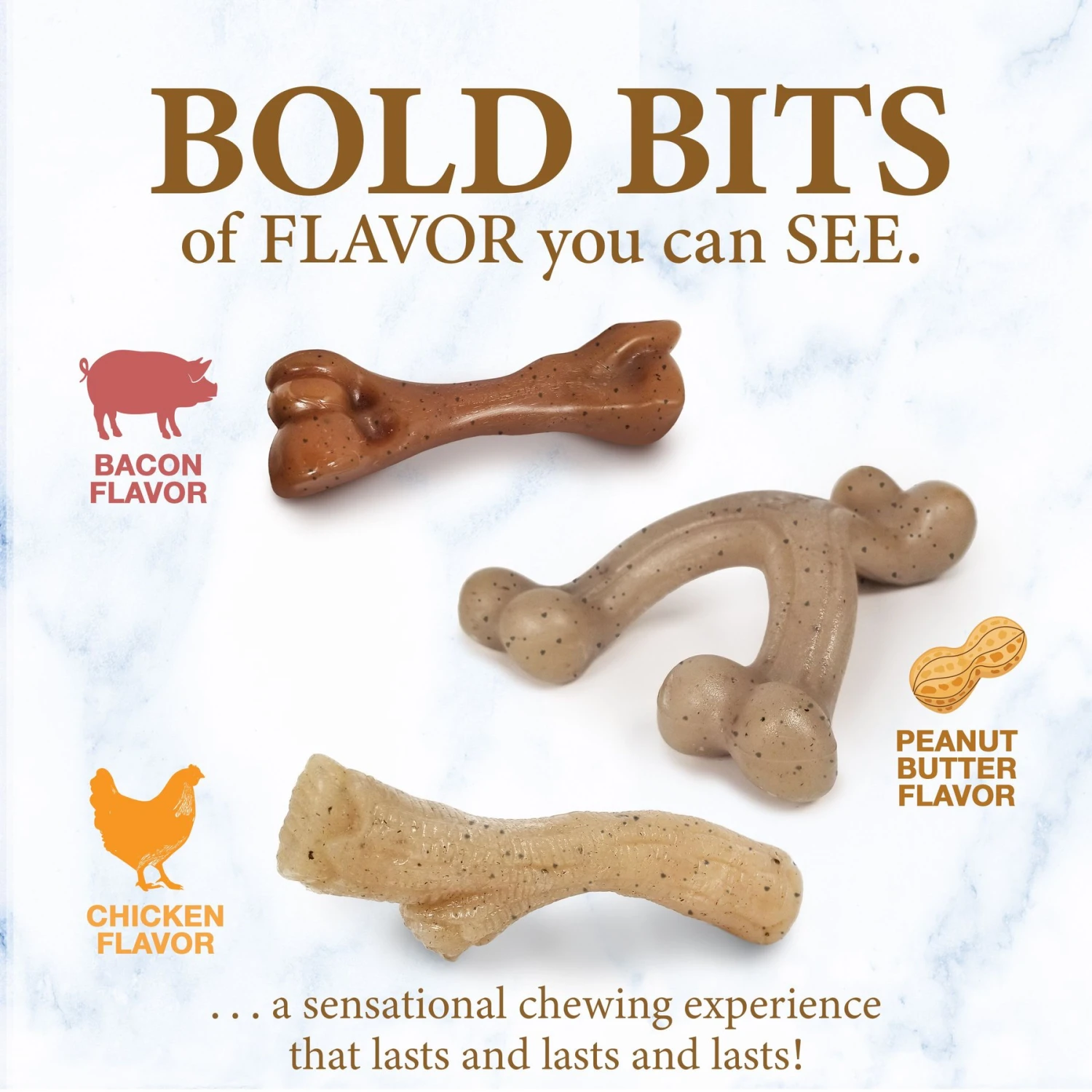 Nylabone Puppy Gourmet Style Strong Chew Dog Toys, Bacon, Chicken, Peanut Butter - Image 5