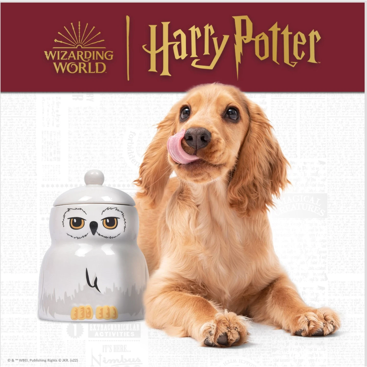 Fetch For Pets Harry Potter Hedwig Dog Treat Jar - Image 2