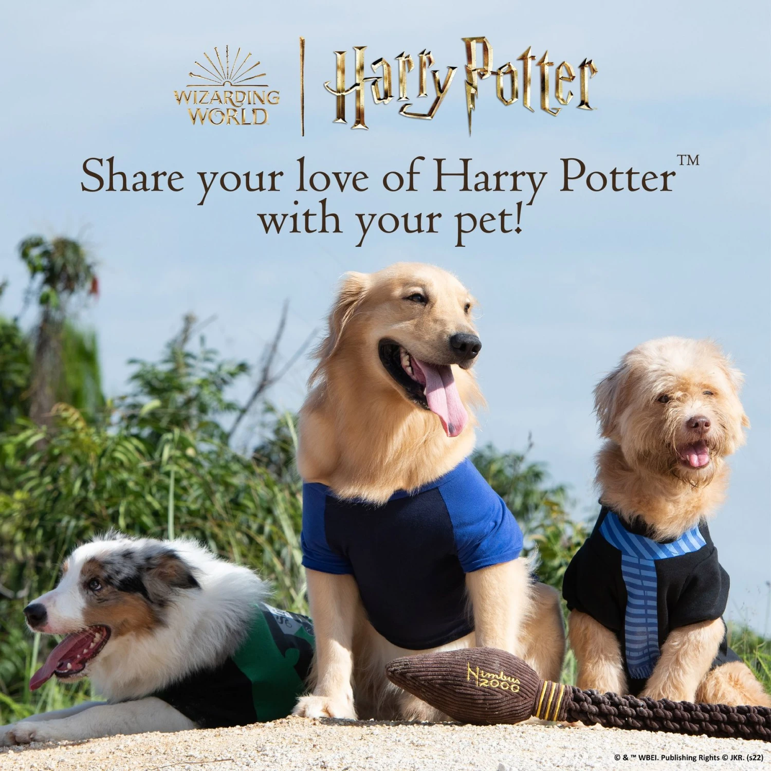 Fetch For Pets Harry Potter Hedwig Dog Treat Jar - Image 7