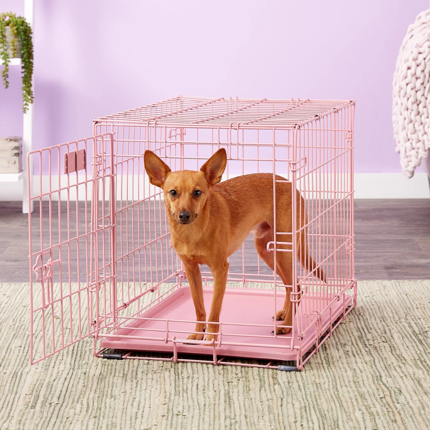 MidWest ICrate Single Door Collapsible Wire Dog Crate, Pink, 24 Inch