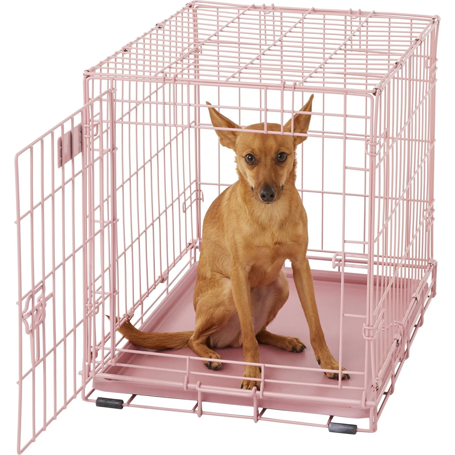 MidWest ICrate Single Door Collapsible Wire Dog Crate, Pink, 24 Inch - Image 4