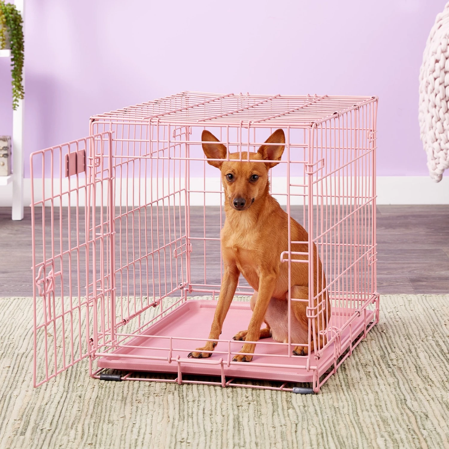 MidWest ICrate Single Door Collapsible Wire Dog Crate, Pink, 24 Inch - Image 5