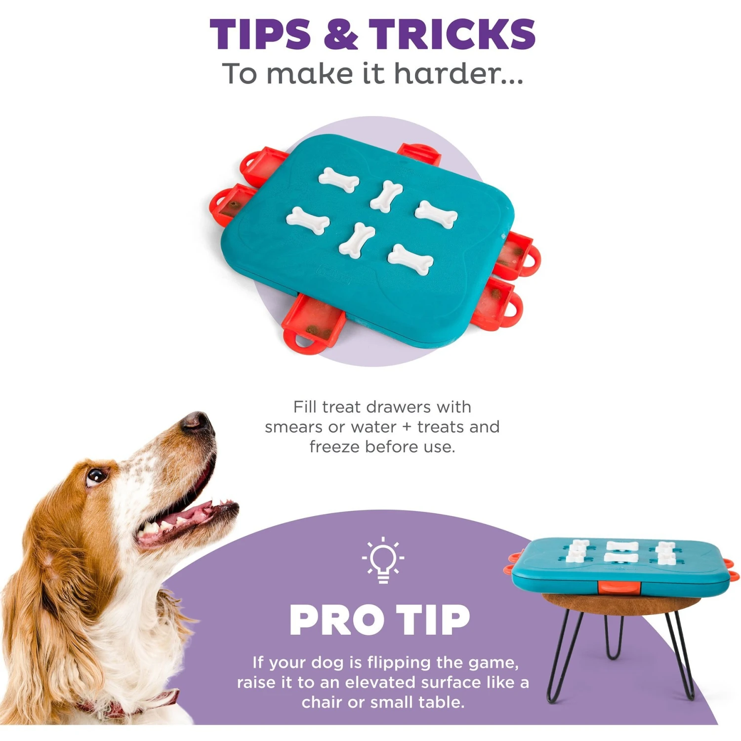 Nina Ottosson By Outward Hound Casino Puzzle Game Dog Toy - Image 5