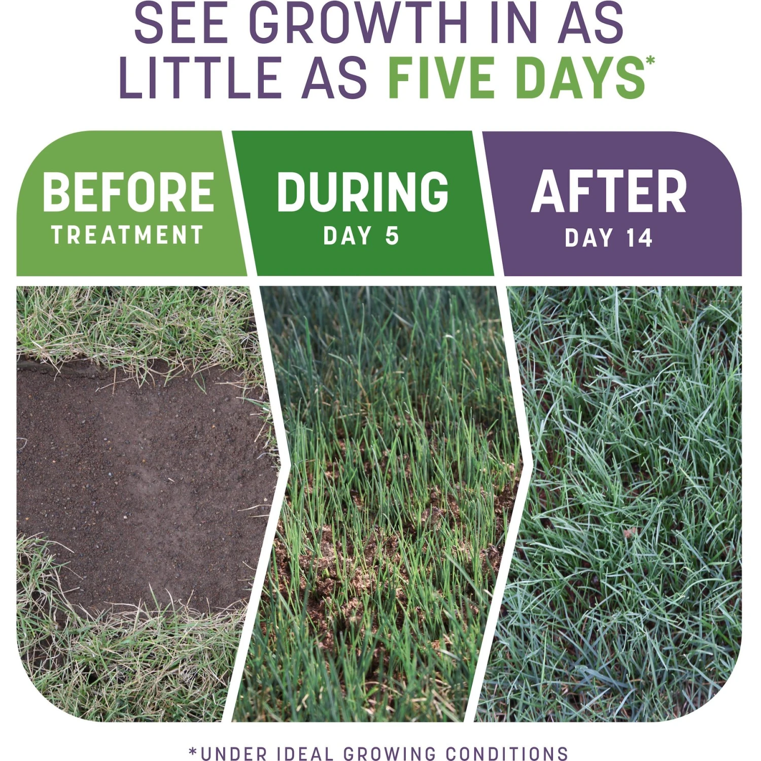 Pennington Smart Patch Dense Shade Mix Dog Lawn-Treatment & Grass Saver - Image 3