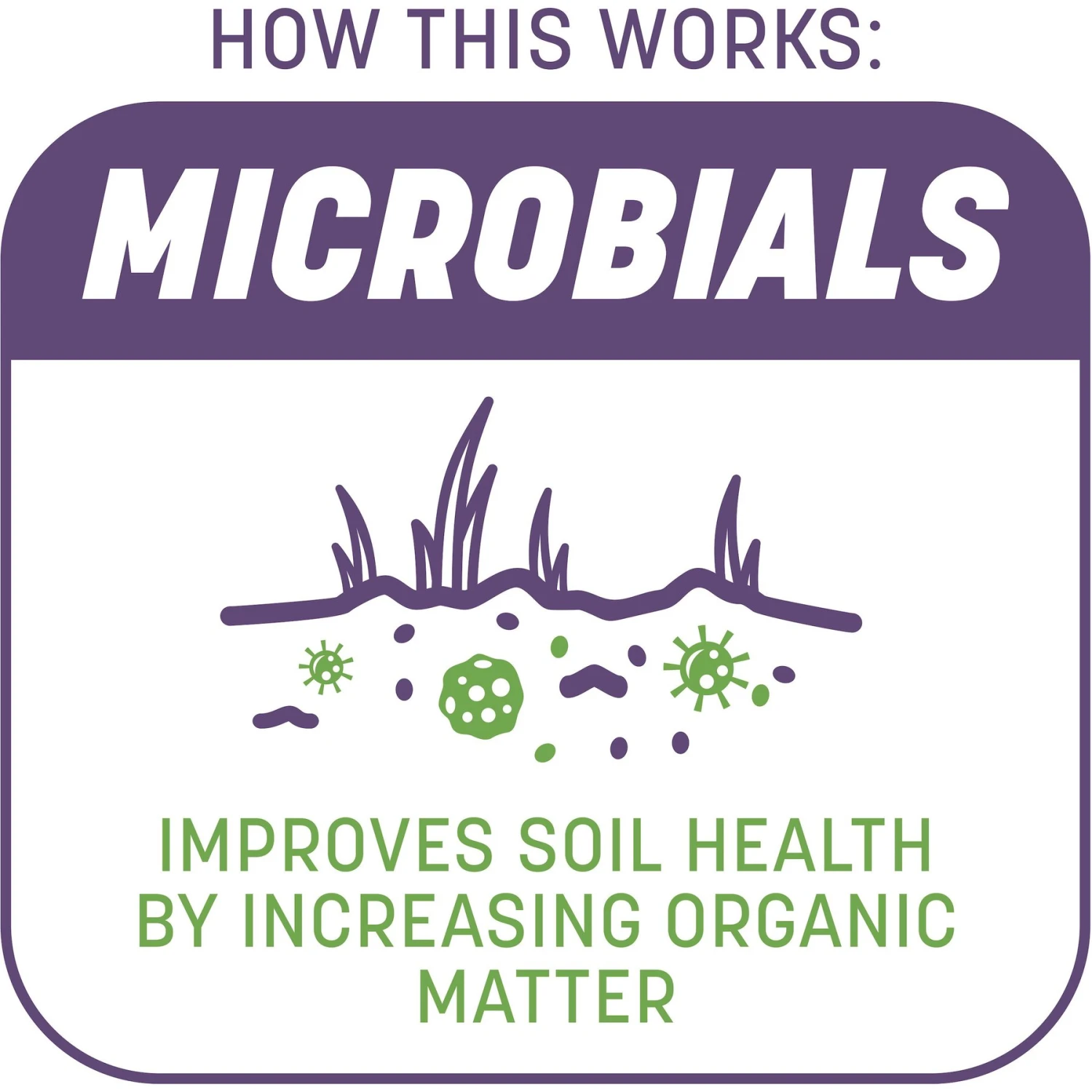 Pennington Smart Patch Dense Shade Mix Dog Lawn-Treatment & Grass Saver - Image 4