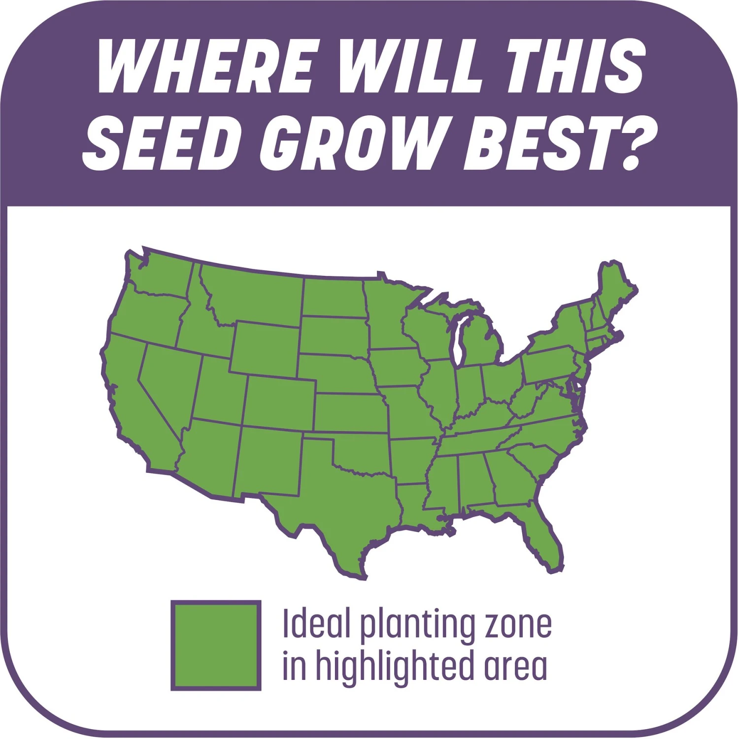 Pennington Smart Patch Dense Shade Mix Dog Lawn-Treatment & Grass Saver - Image 7