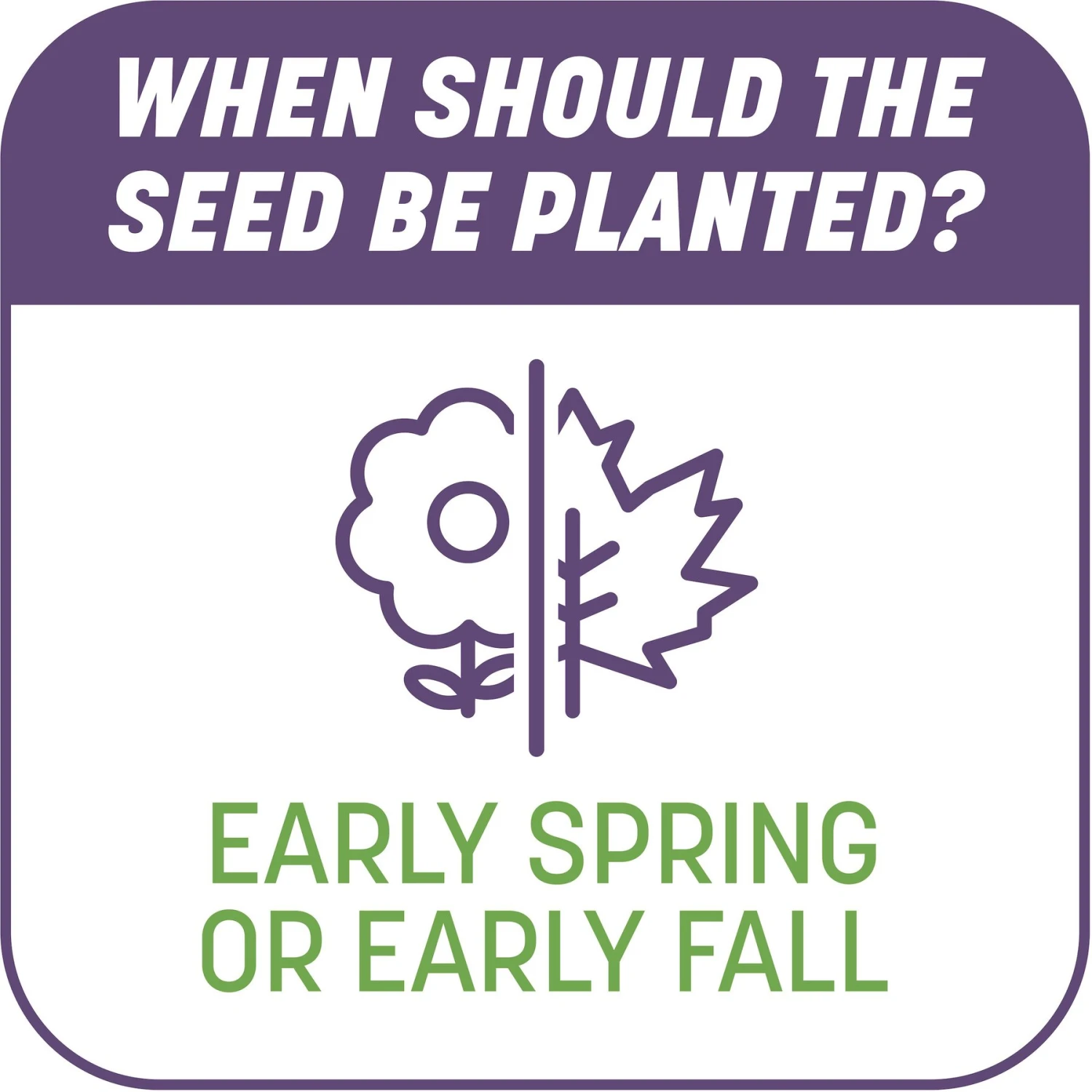 Pennington Smart Patch Dense Shade Mix Dog Lawn-Treatment & Grass Saver - Image 8