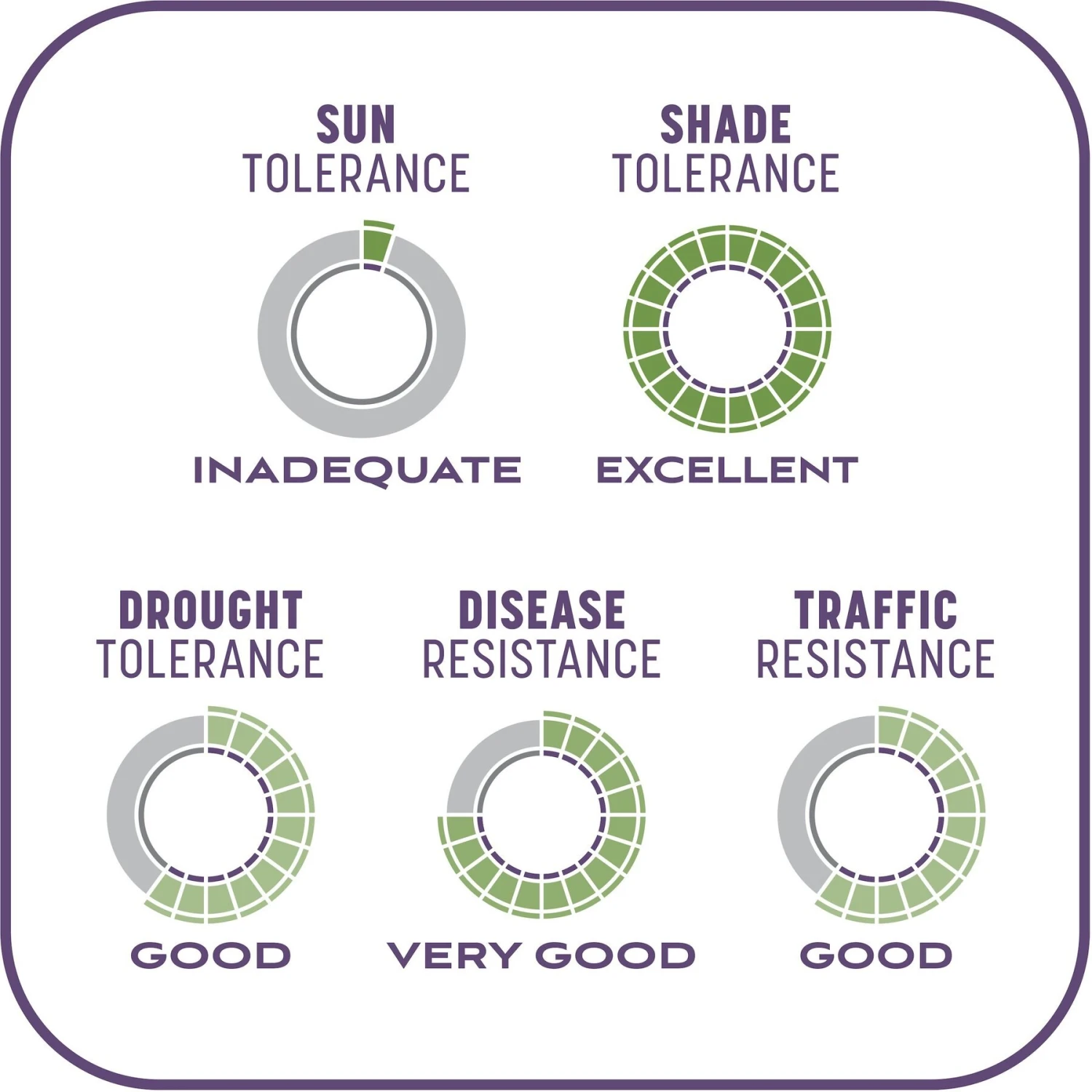 Pennington Smart Patch Dense Shade Mix Dog Lawn-Treatment & Grass Saver - Image 9