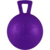 Jolly Pets Tug-n-Toss M-ini Dog Toy