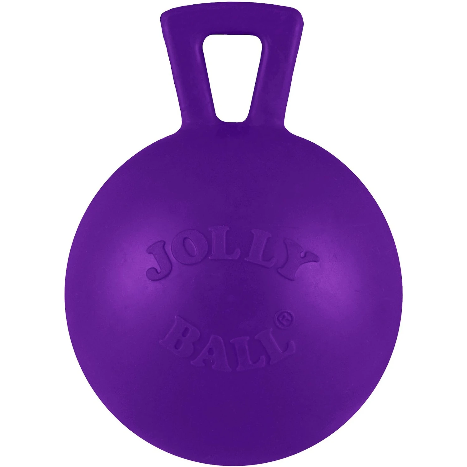 Jolly Pets Tug-n-Toss M-ini Dog Toy