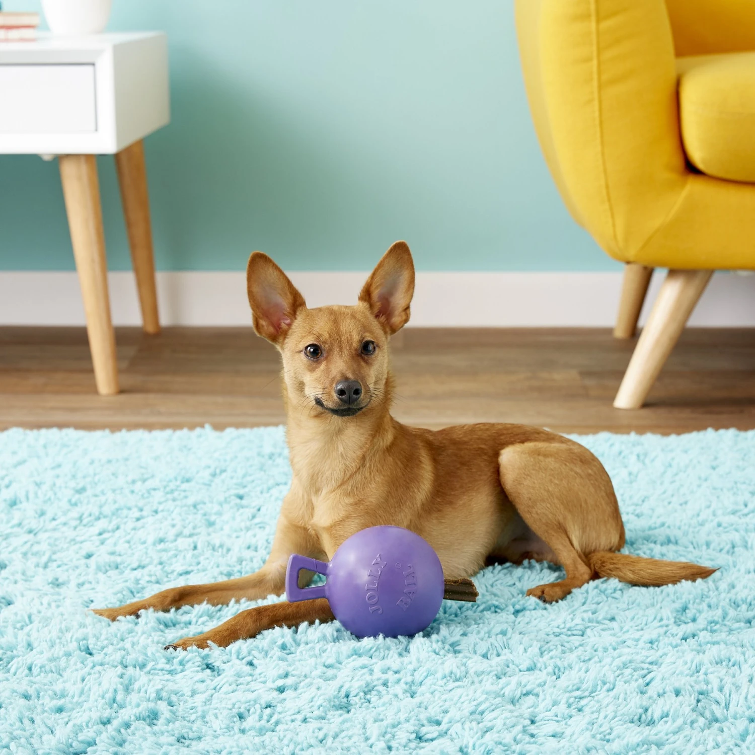 Jolly Pets Tug-n-Toss M-ini Dog Toy - Image 3