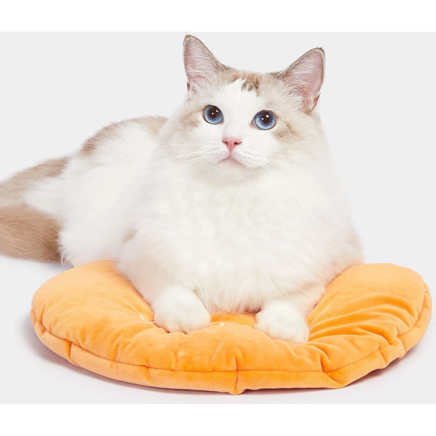 VETRESKA Rattan Cat & Dog Bed - Image 6