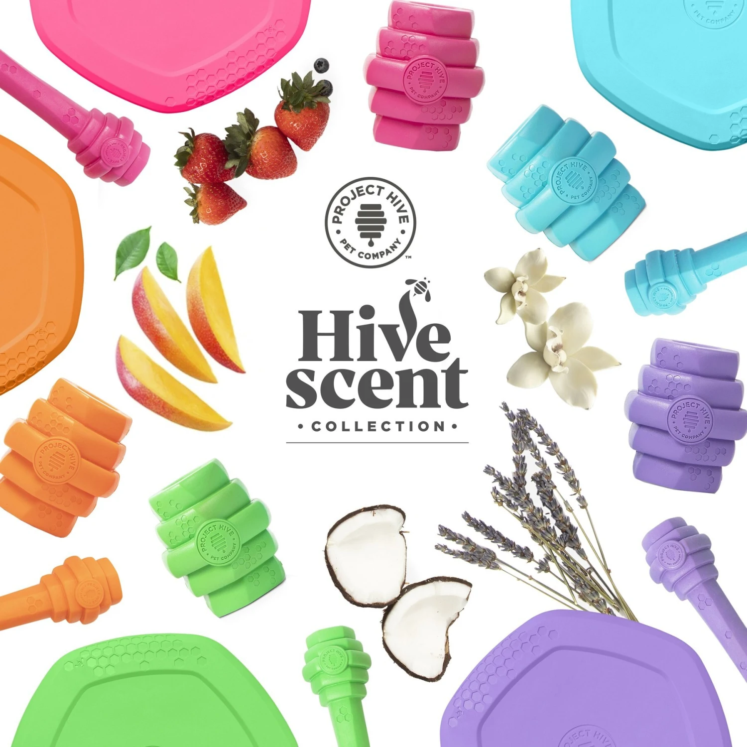 Project Hive Pet Company Hive Tropical Coconut Scented Fetch Stick Dog Toy, Green - Image 5