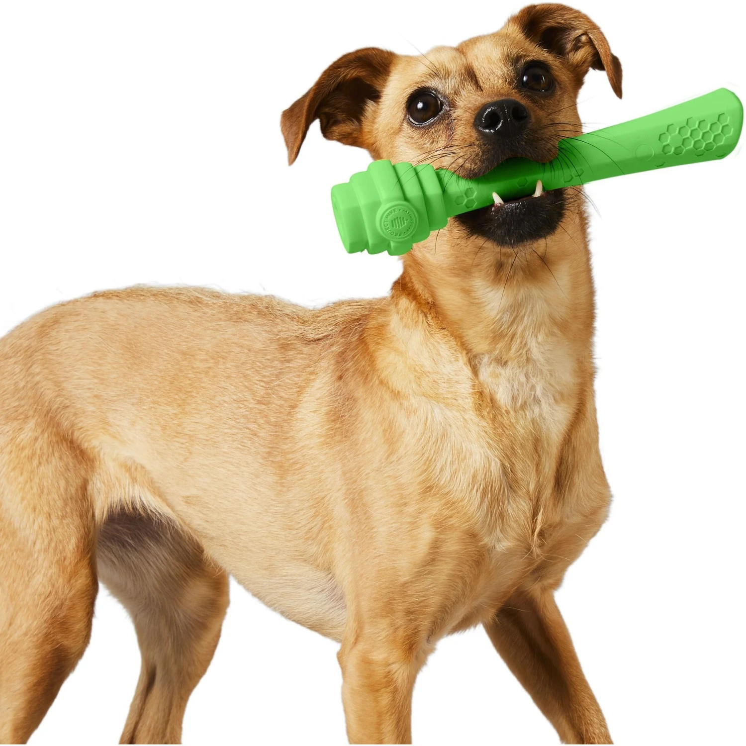 Project Hive Pet Company Hive Tropical Coconut Scented Fetch Stick Dog Toy, Green - Image 6