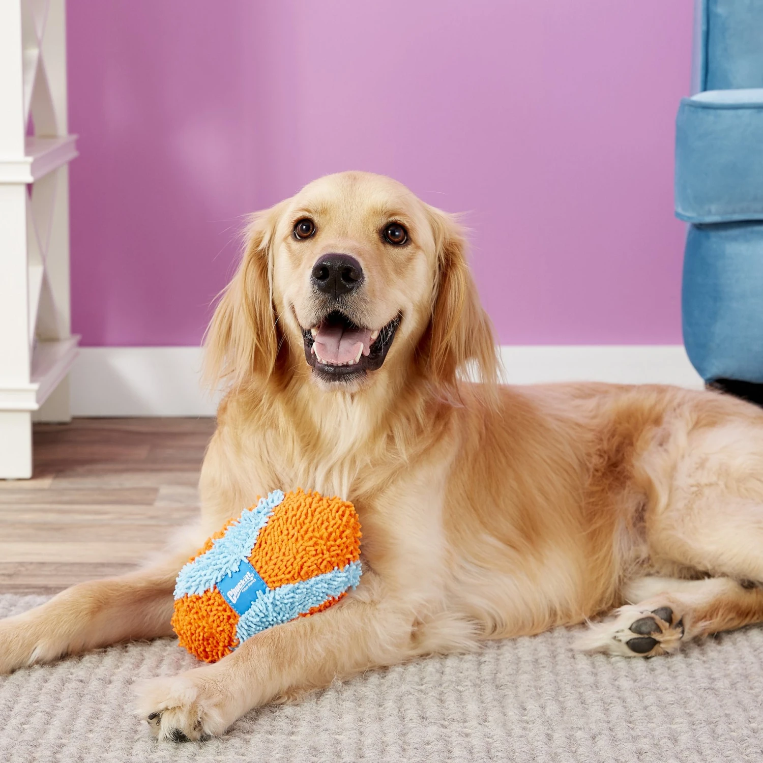 Chuckit! Indoor Fumbler Dog Toy - Image 3