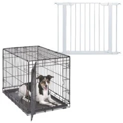 MidWest ICrate Fold & Carry Single Door Collapsible Wire Dog Crate & MidWest Steel Pet Gate