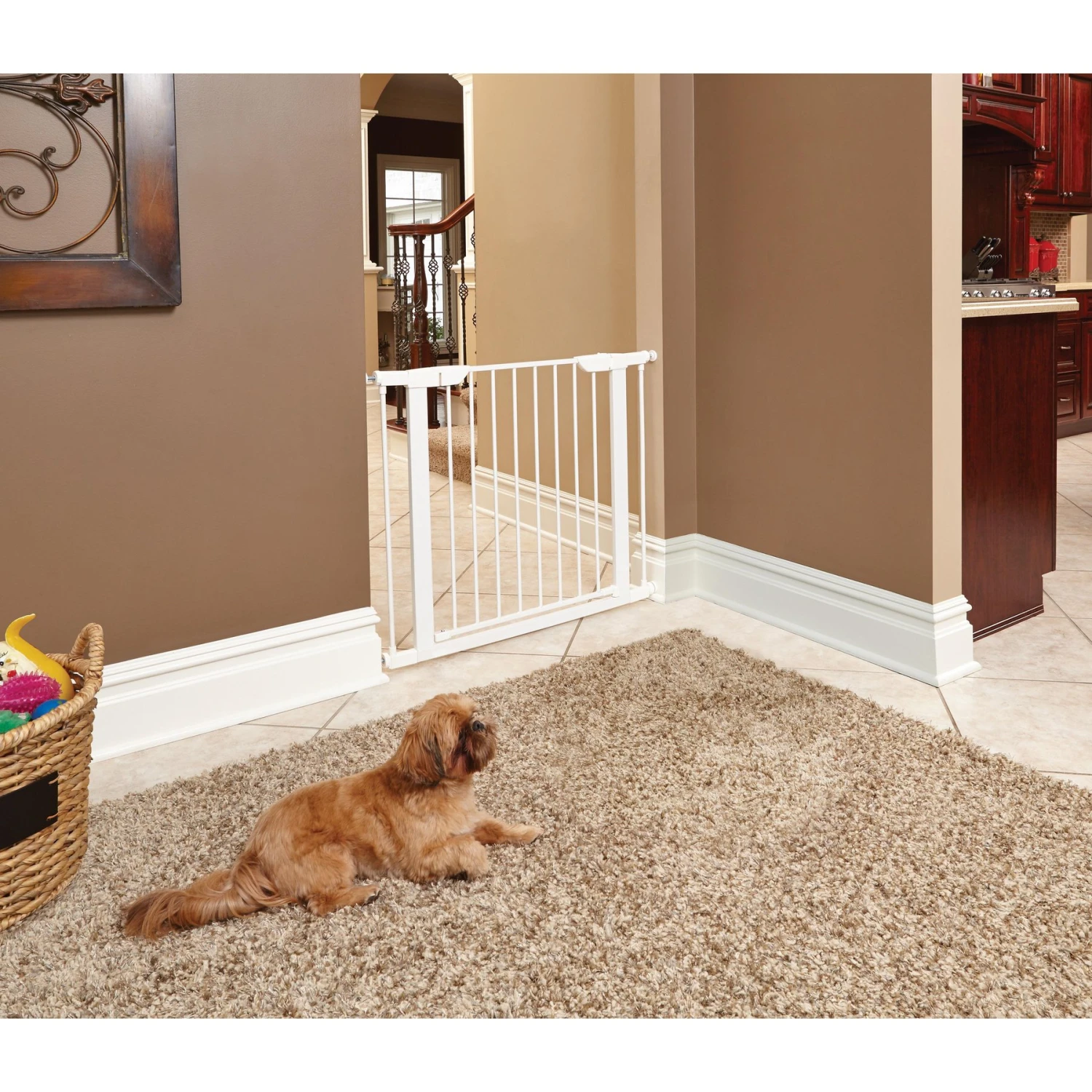 MidWest ICrate Fold & Carry Single Door Collapsible Wire Dog Crate & MidWest Steel Pet Gate - Image 7