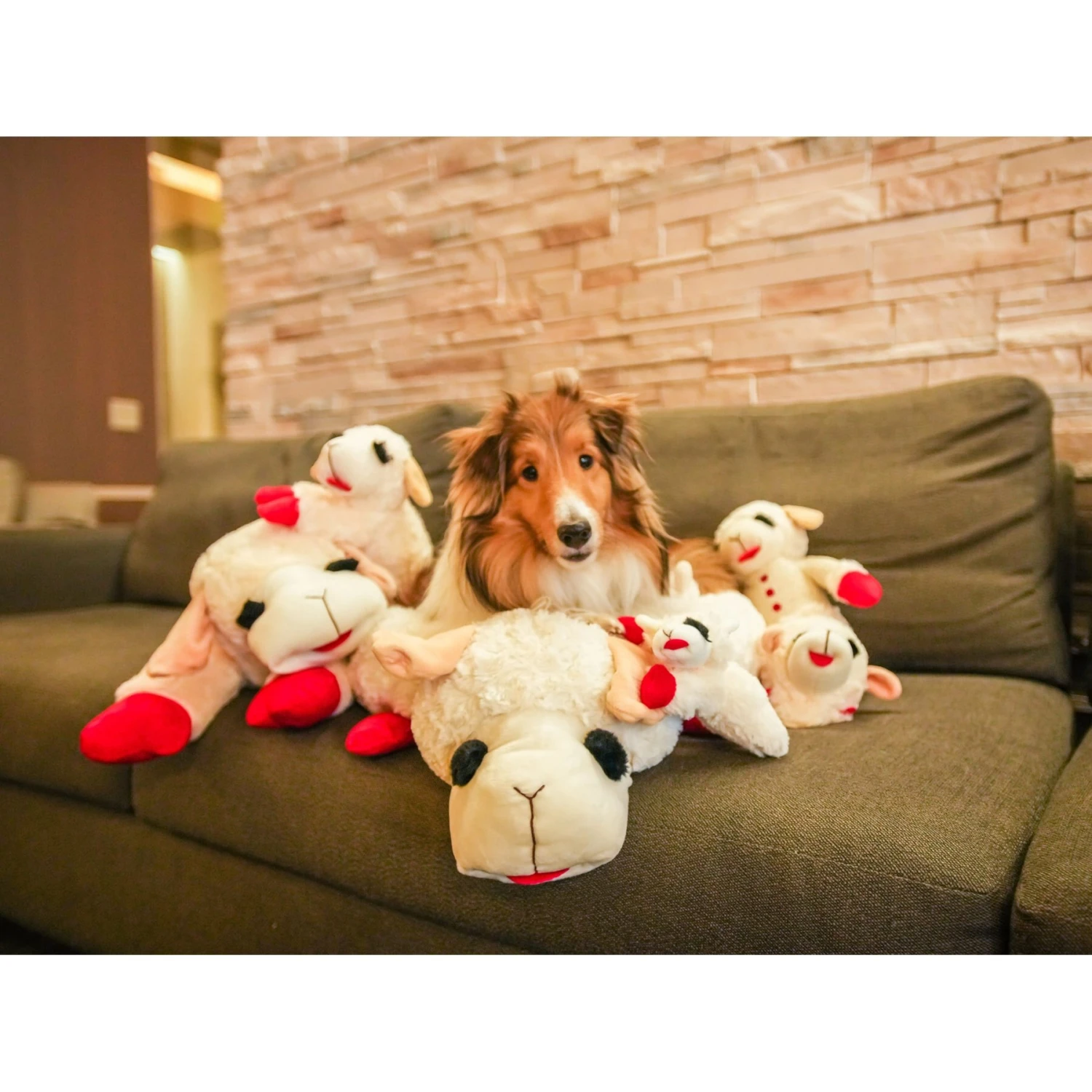 Multipet Lamb Chop Bolster Cat & Dog Bed With Removable Cover - Image 5