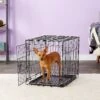 Carlson Pet Products Secure & Compact Single Door Collapsible Wire Dog Crate