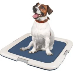 IRIS USA Non-skid Dog Plastic Training Pad Holder