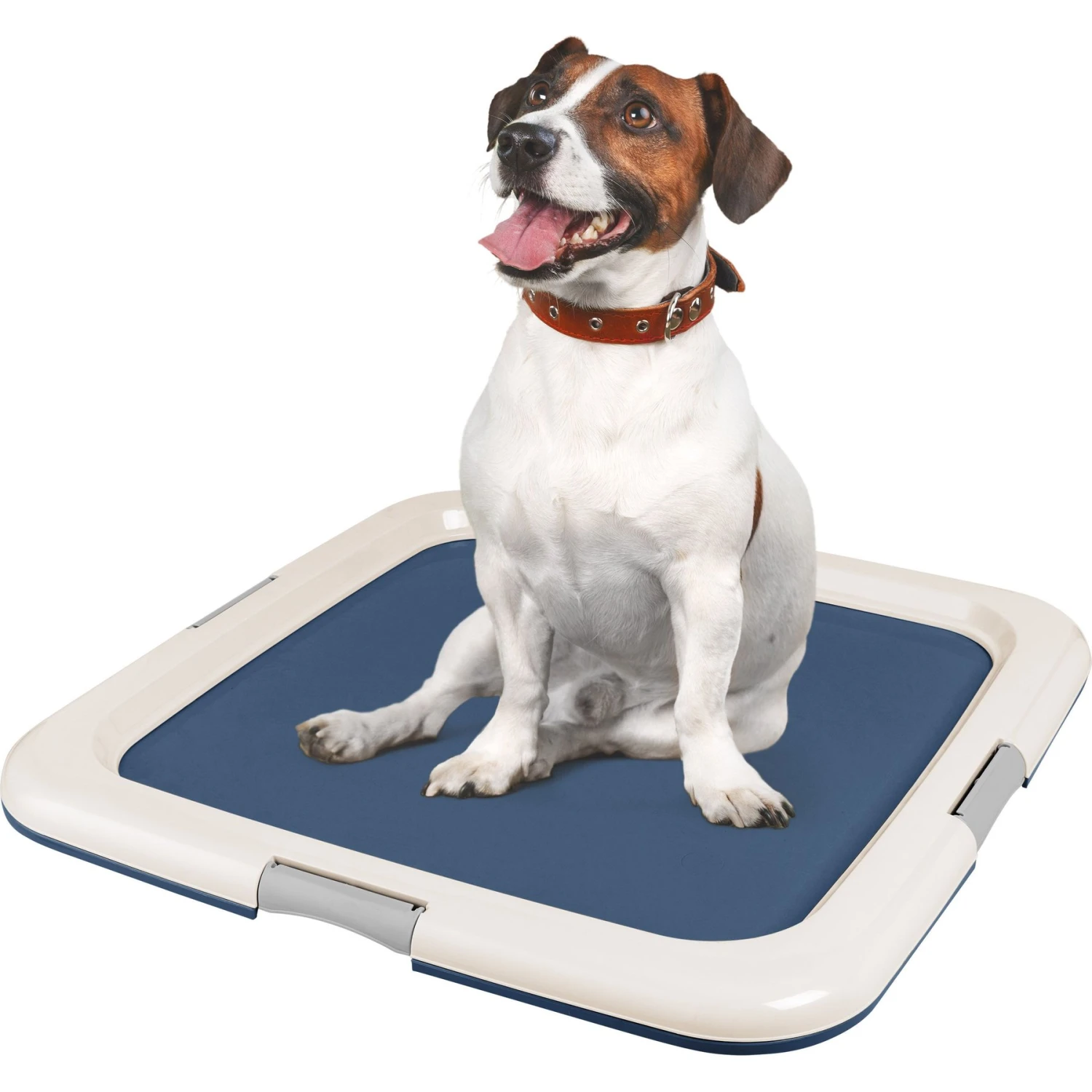 IRIS USA Non-skid Dog Plastic Training Pad Holder