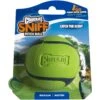Chuckit! Sniff Fetch Ball Dog Toy, Medium