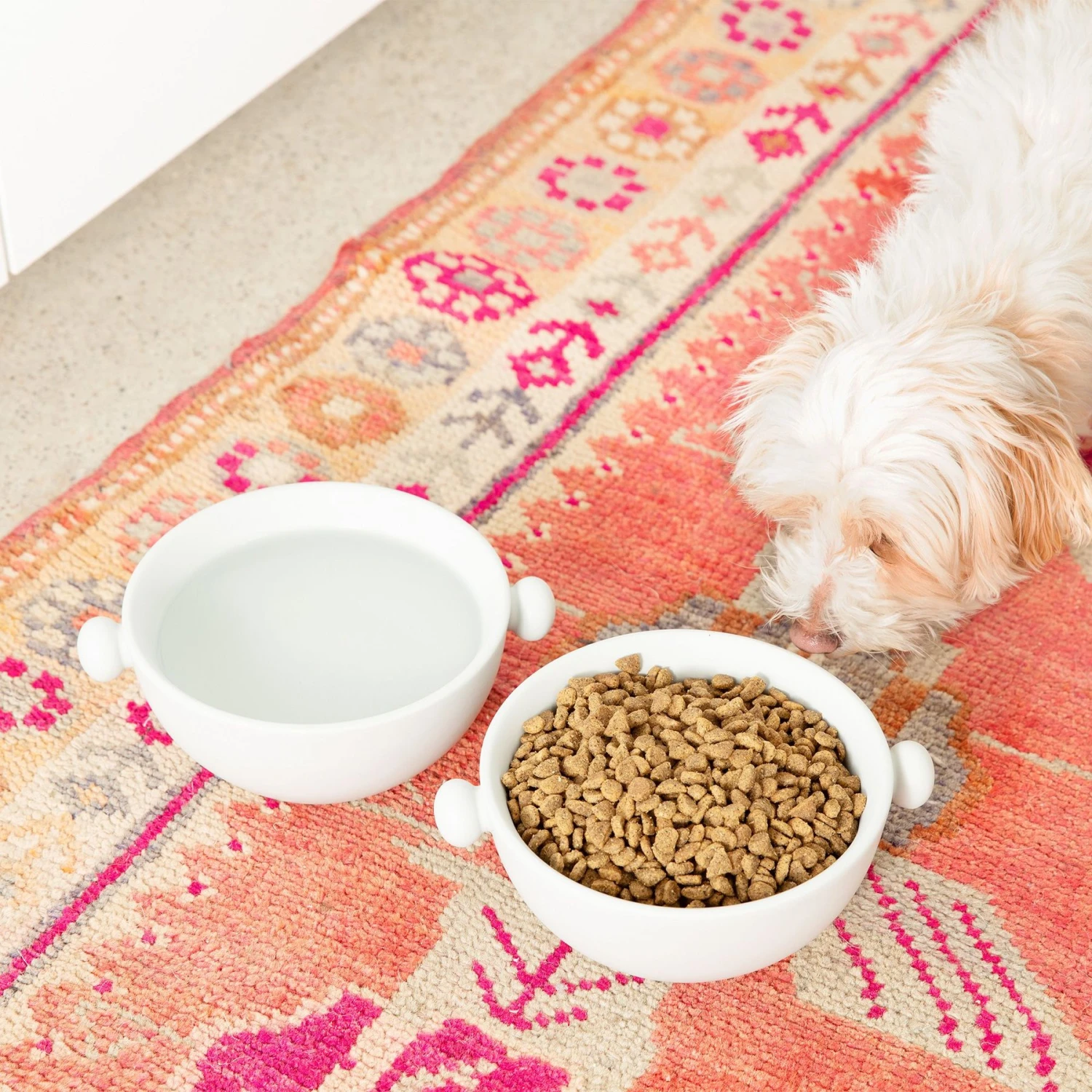 Waggo Bobble Ceramic Cat & Dog Bowl, Medium - Image 2