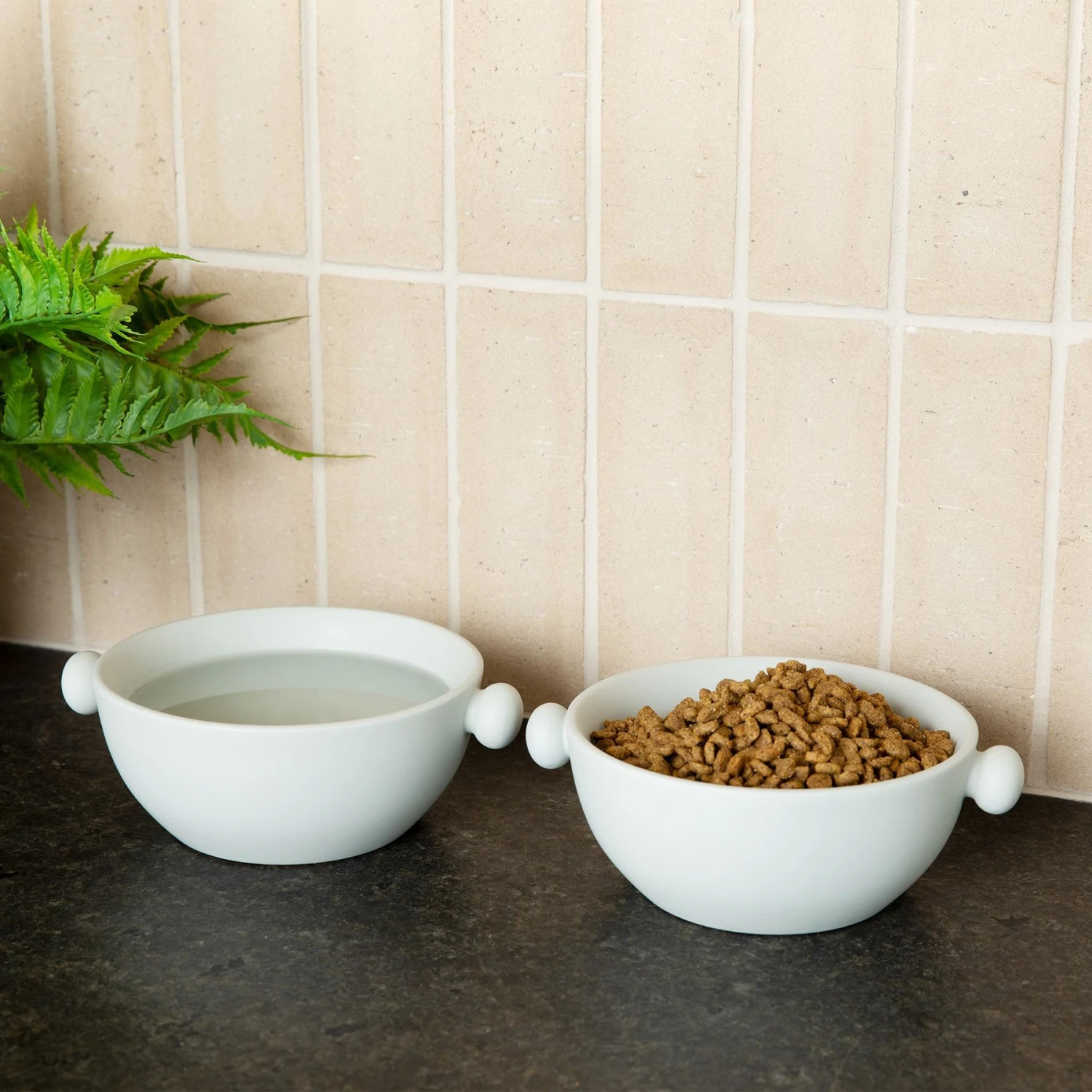 Waggo Bobble Ceramic Cat & Dog Bowl, Medium - Image 3