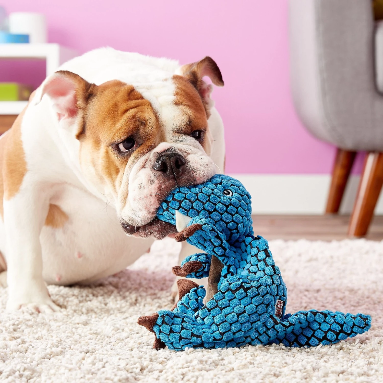 KONG Dynos T-Rex Dog Toy - Image 3