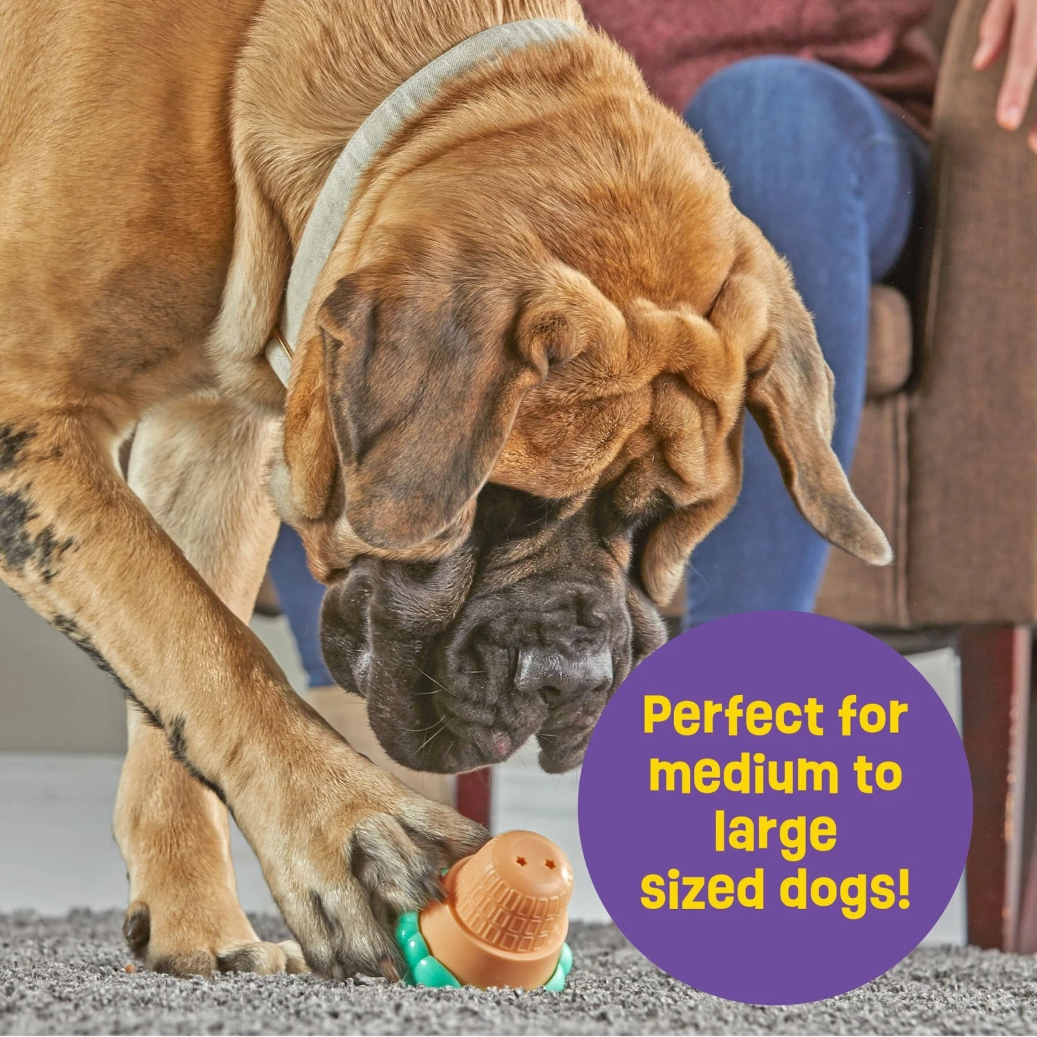 Brightkins Large Ice Cream Treat Dispenser Dog Toy - Image 4